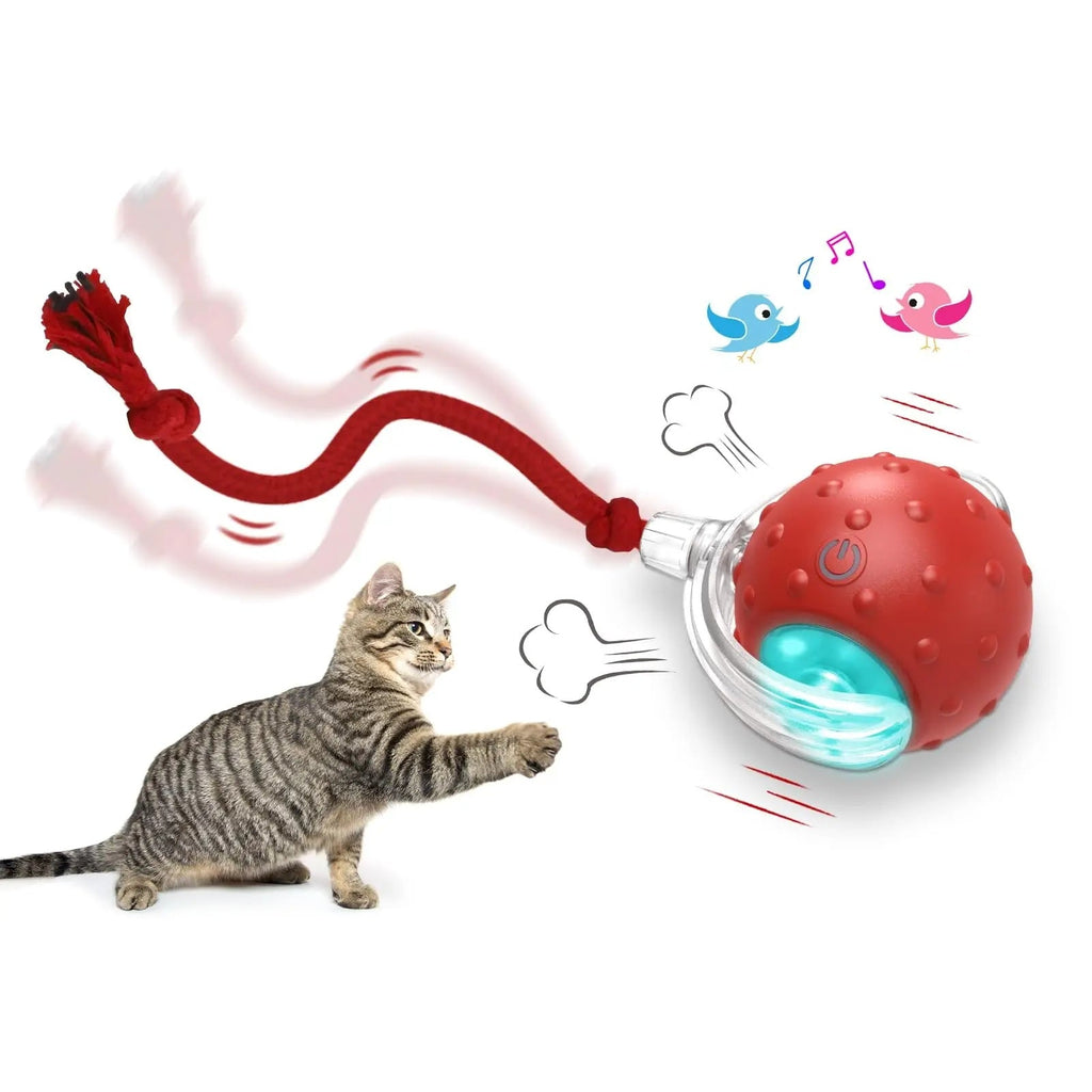 Tailvexa lightweight interactive rolling ball toy for cats